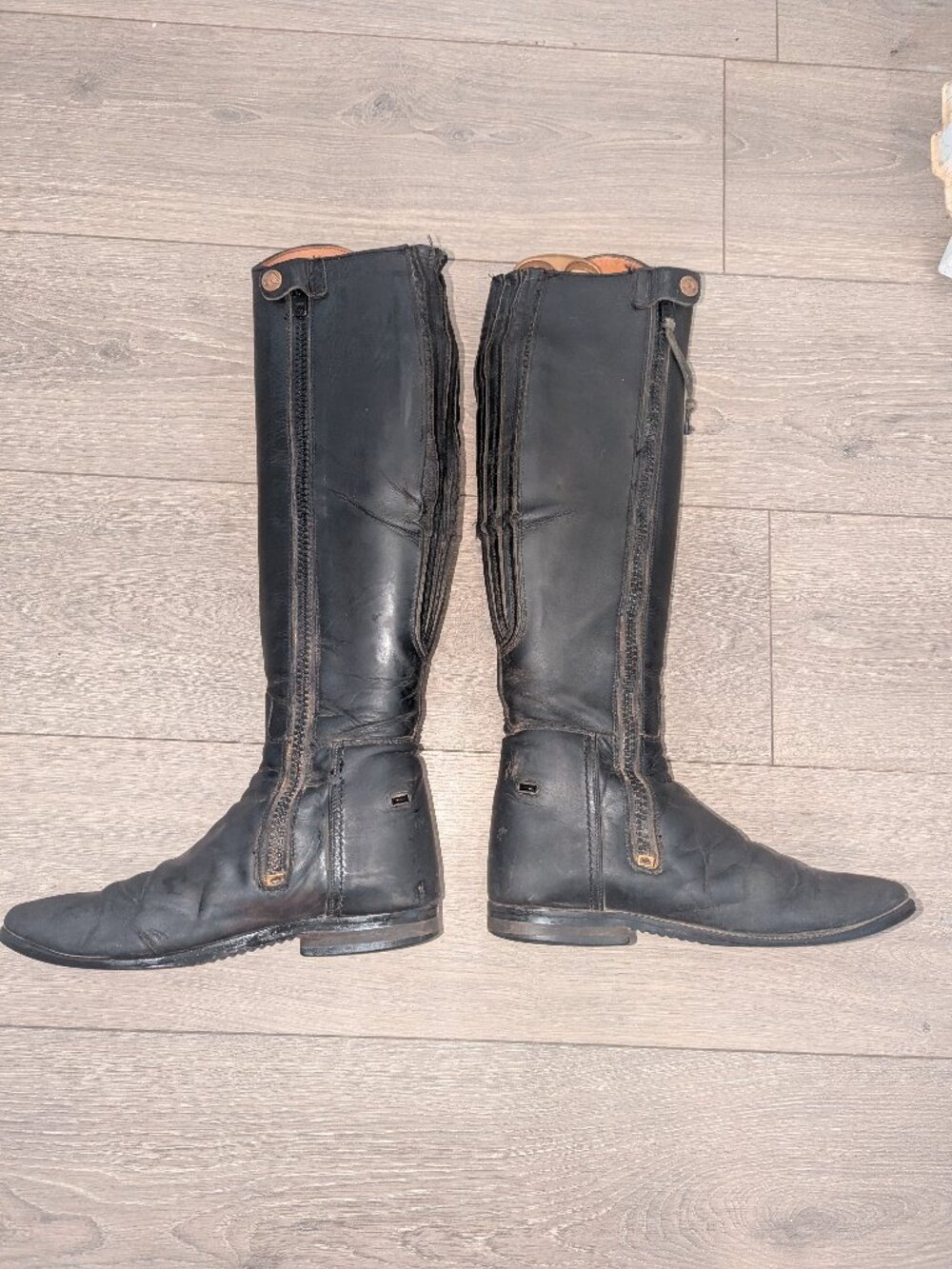 Mountain Horse dressage boots size 7 - Picture 2 of 7